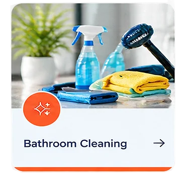 Bathroom cleaning products and everyday cleaning essentials