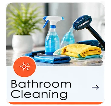 Bathroom Cleaning